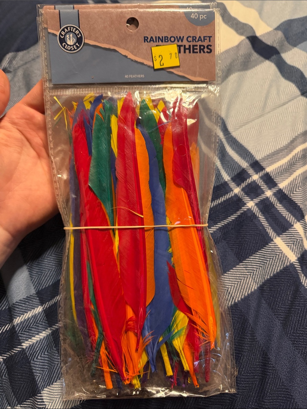 Rainbow Craft Feathers - Multicolor